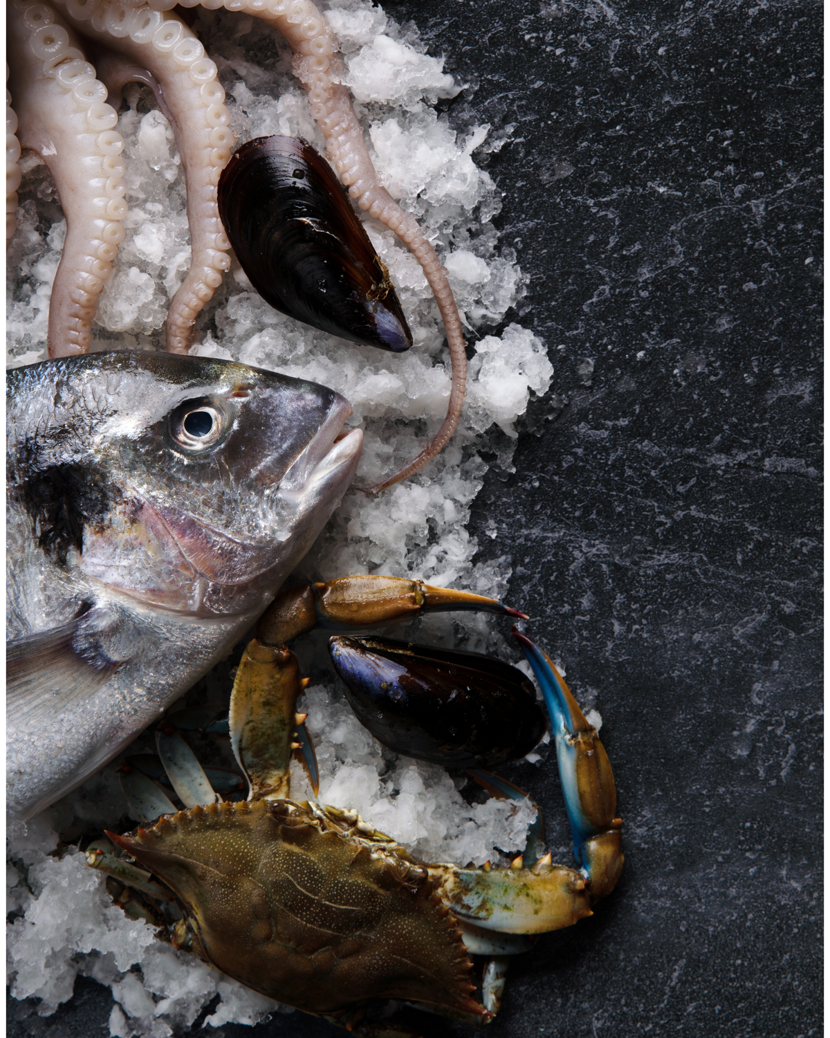 Seafood