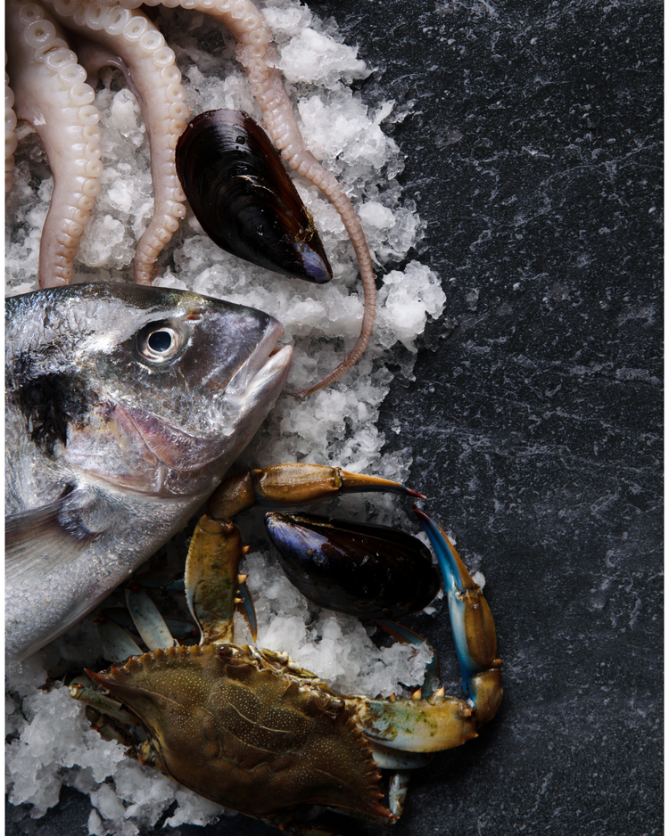 Seafood
