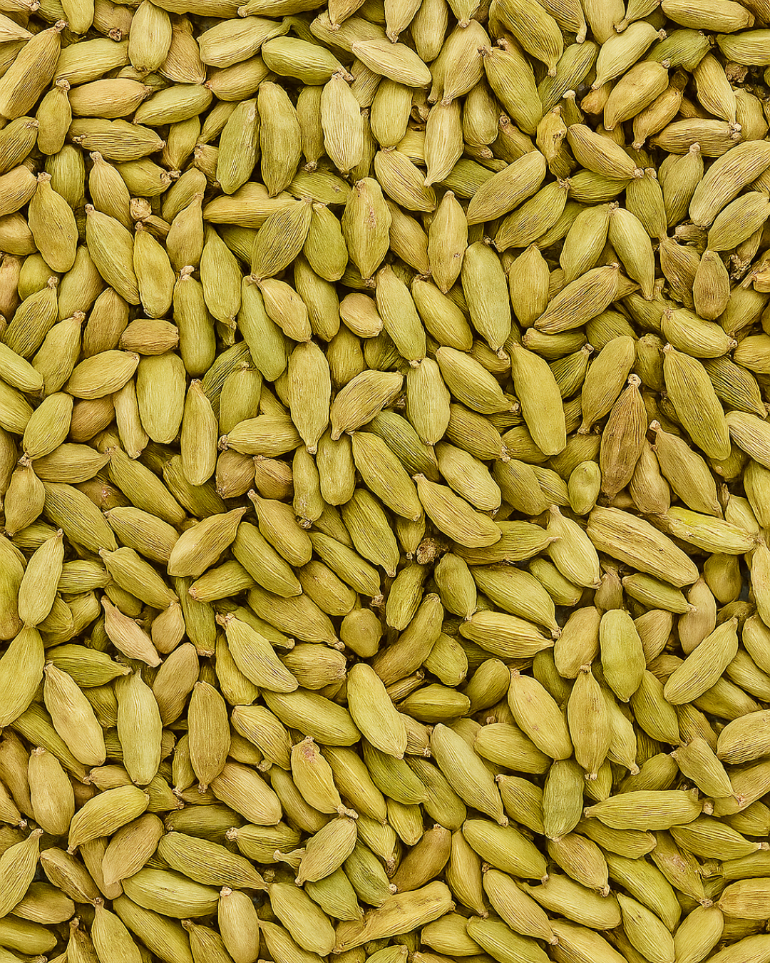 Cardamom Green Pod