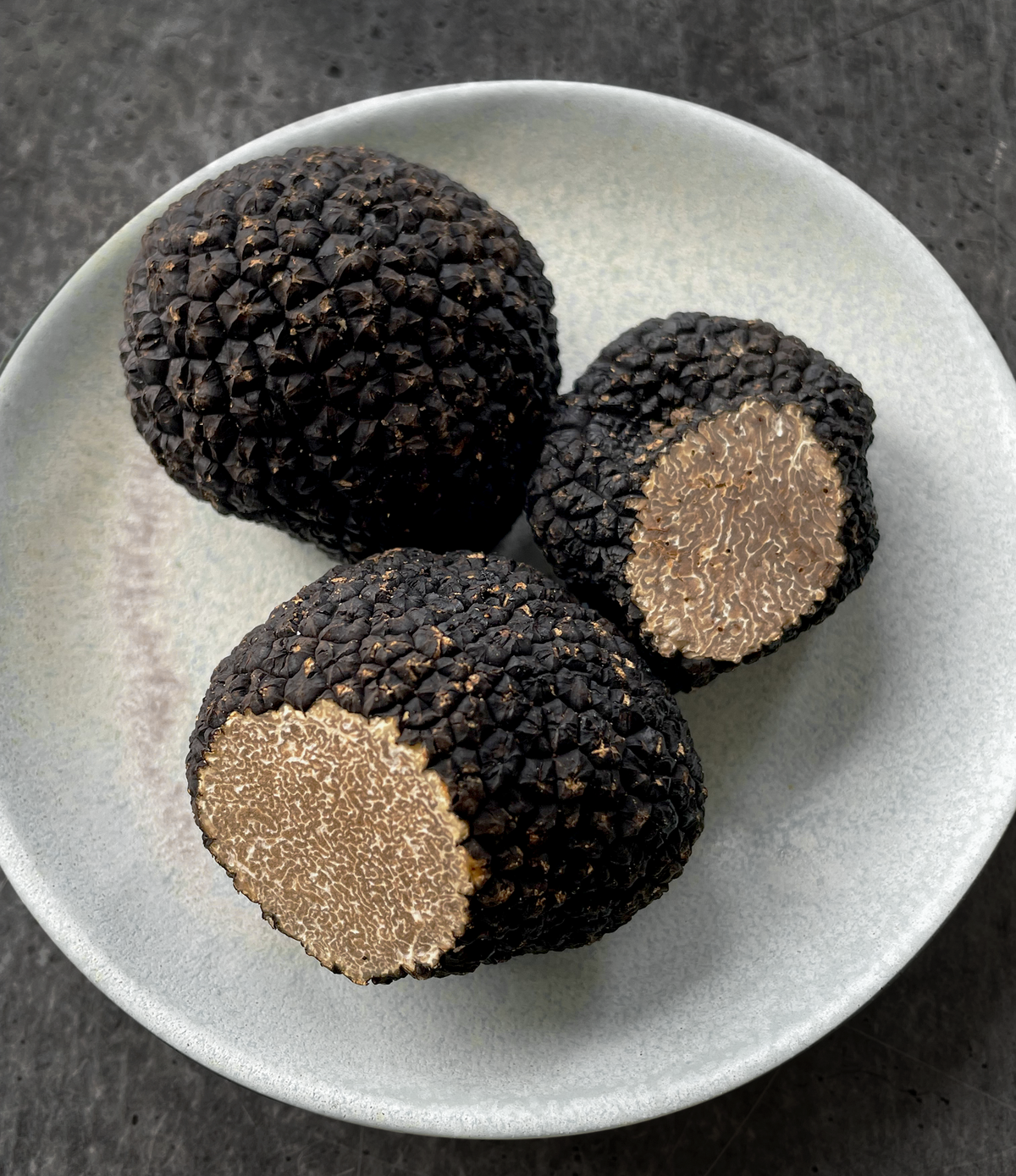Burgundy Truffle