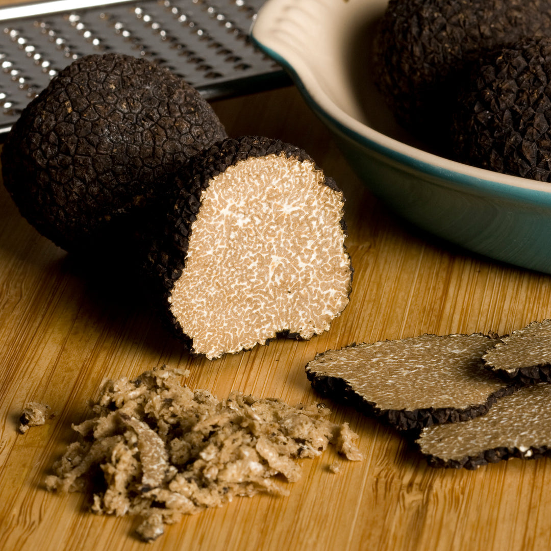Burgundy Truffle