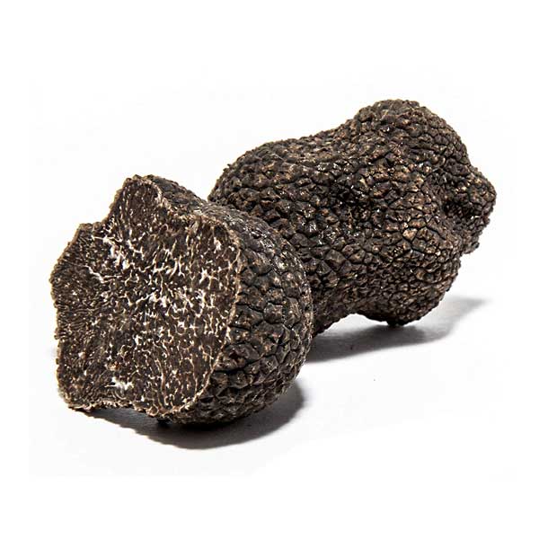 Winter Black Truffle