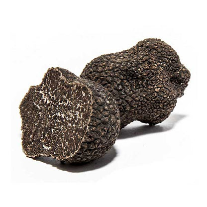 Winter Black Truffle